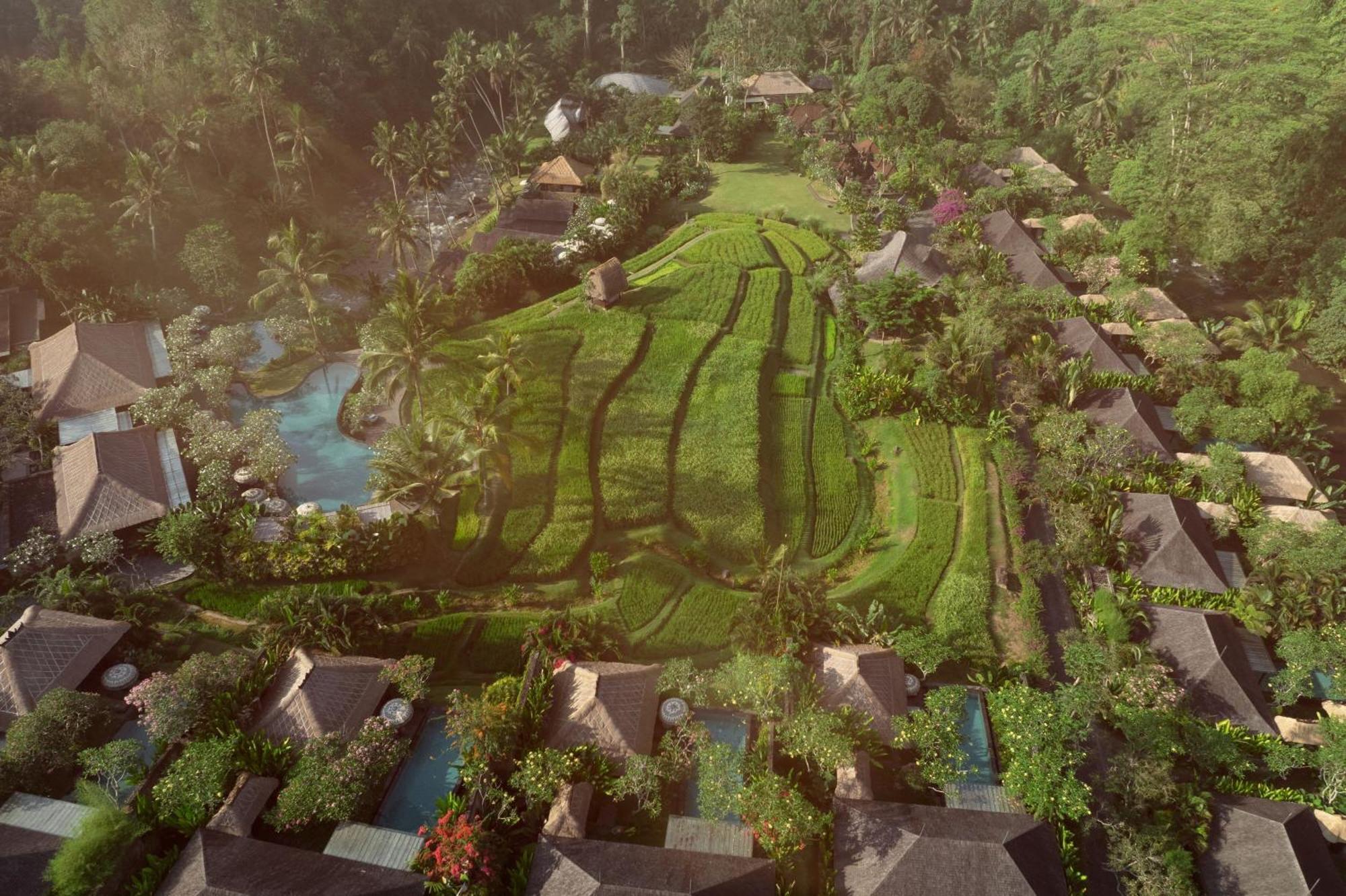 มันดาปา อะ ริตซ์-คาร์ลตัน รีเสิร์ฟ Hotel อูบุด ภายนอก รูปภาพ