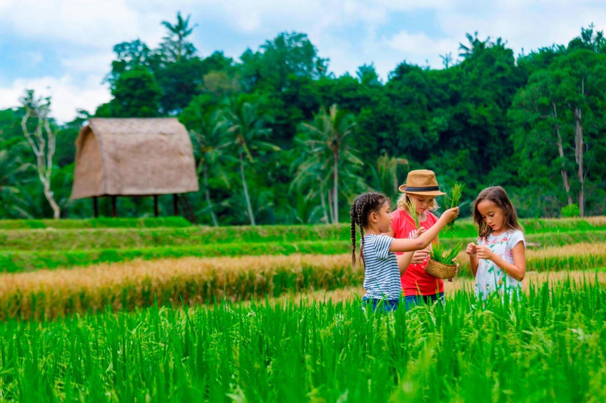 มันดาปา อะ ริตซ์-คาร์ลตัน รีเสิร์ฟ Hotel อูบุด ภายนอก รูปภาพ