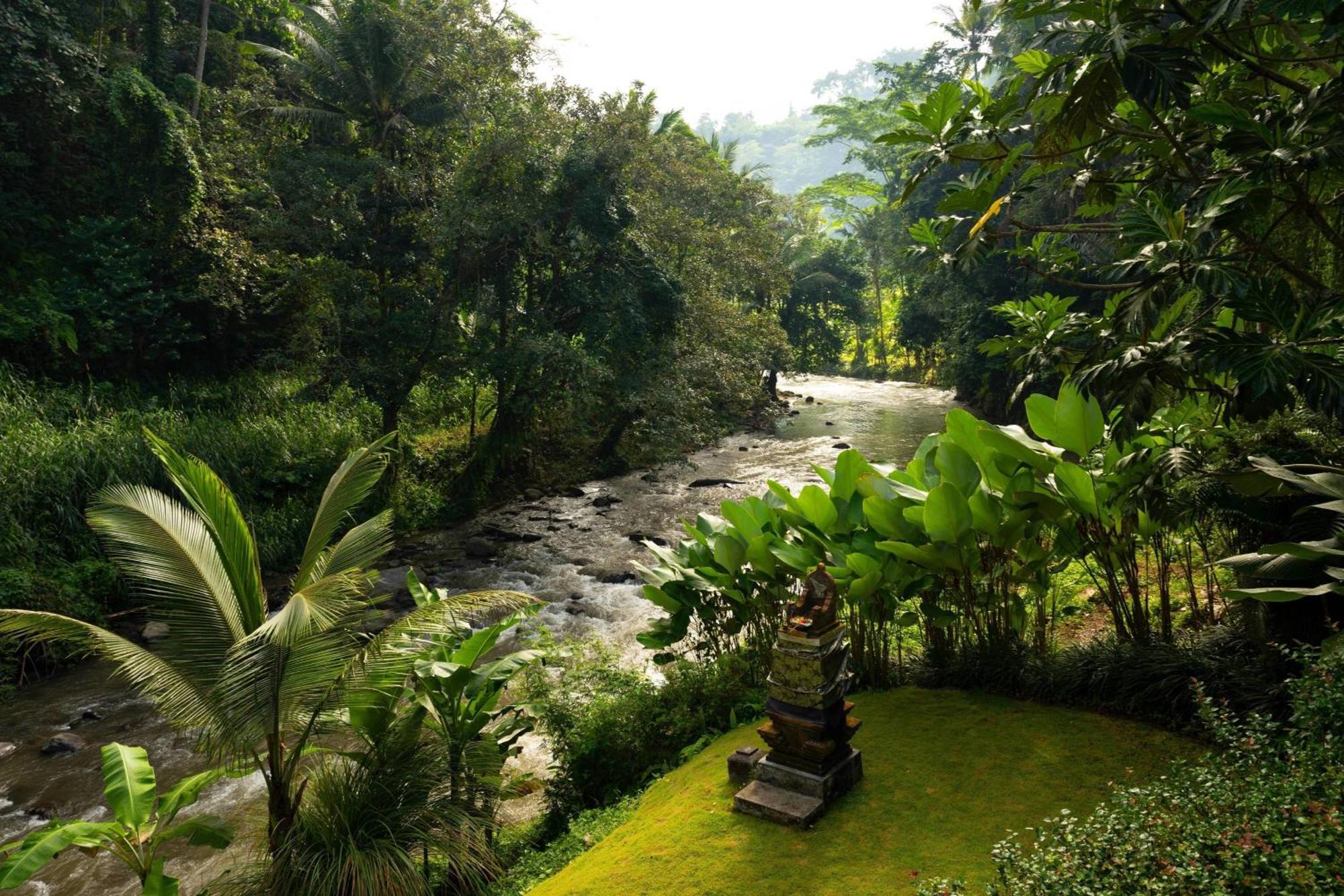 มันดาปา อะ ริตซ์-คาร์ลตัน รีเสิร์ฟ Hotel อูบุด ภายนอก รูปภาพ